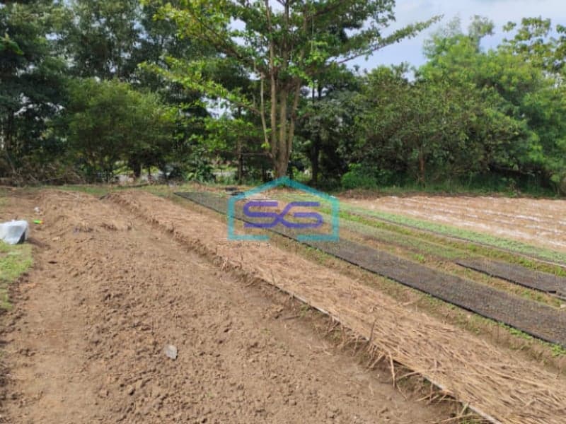 Dijual Tanah Jl. Hm Noerdin Pandji Kec Sako Kota Palembang Luas 21270m2