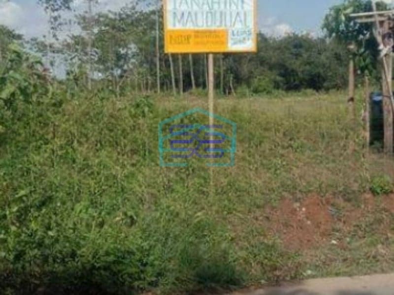 Dijual Tanah Murah di Tigaraksa Tangerang Luas 3060m2