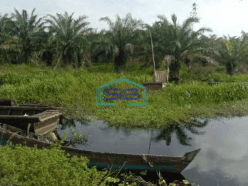 Dijual Tanah Kebun Sawit 550Ha Di Rokan Hilir Riau