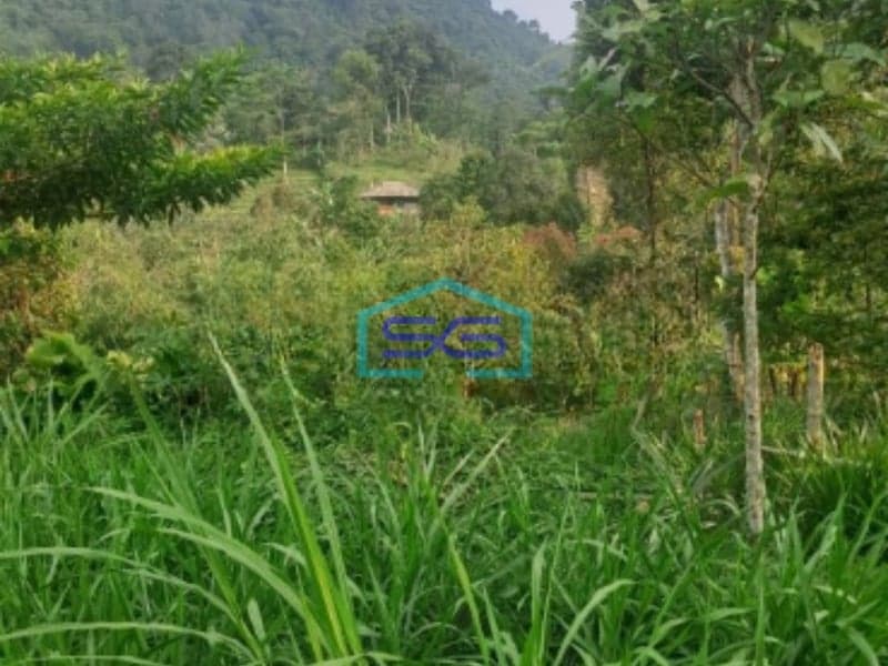 Dijual Tanah Di Parig Nanggung Bogor Luas Tanah 200000m2