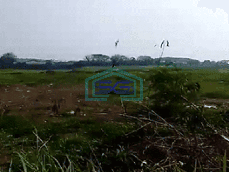 Dijual Cepat Lahan di Cikupa Tangerang