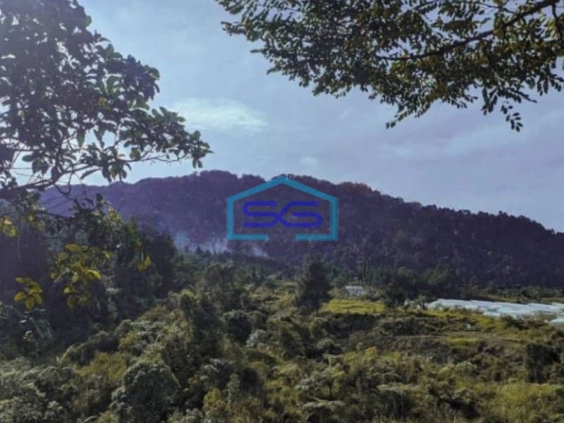 Dijual Tanah di Desa Megamendung Bogor Luas Tanah 100.000m2