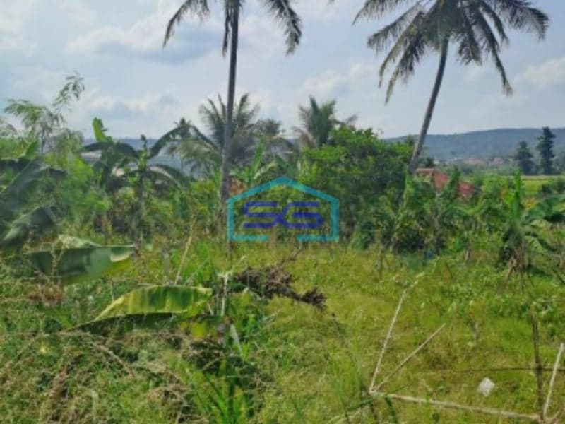 Dijual Tanah di Desa Kalong Liud Nanggung Bogor Luas 50000m2