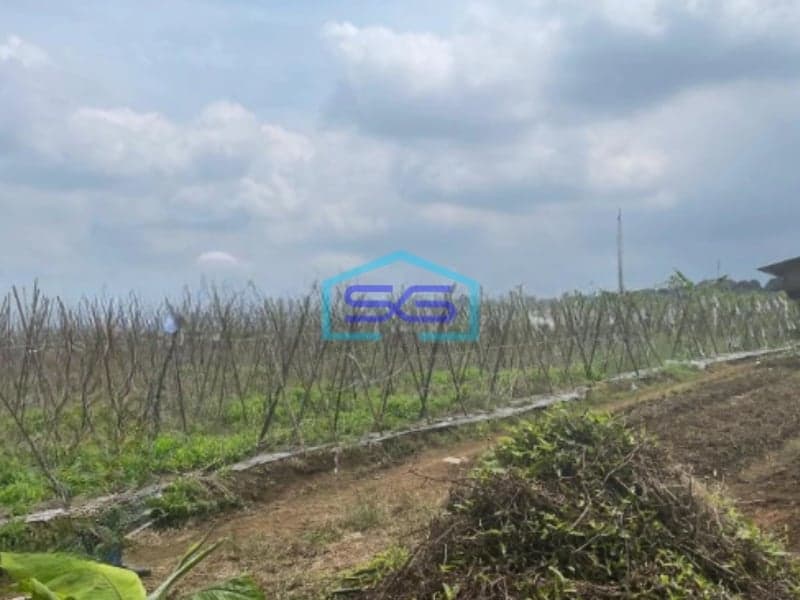 Dijual Tanah Di Cijeruk Bogor Luas Tanah 350000m2