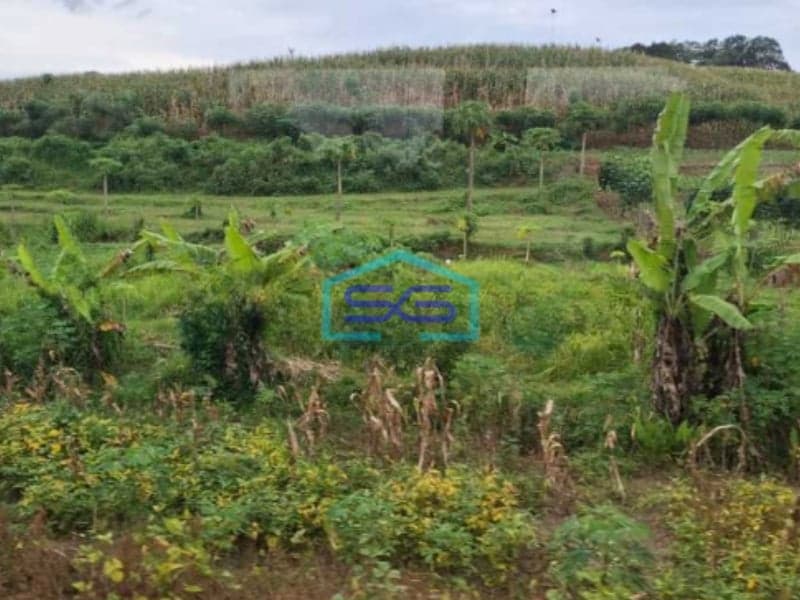 Dijual Tanah Murah Lokasi Elite Hook Setra Duta Bandung Utara LT 1400m2