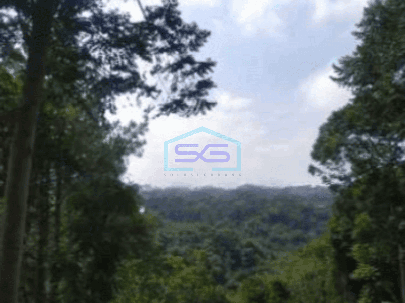 Dijual Tanah di Lembang Bandung Luas 6500m²
