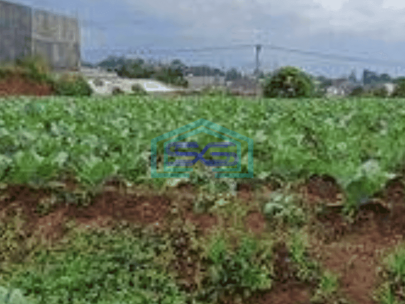 Dijual  Kavling Lokasi Strategis View Gunung di Setiabudi Regency Bandung