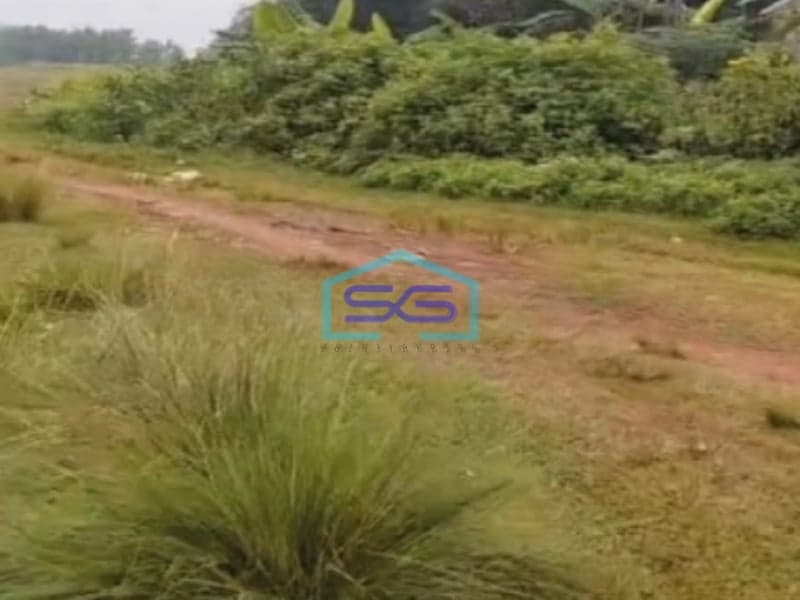 Dijual Tanah Cocok Untuk Investasi Di Tigaraksa Tangerang Luas Tanah  500000 m²