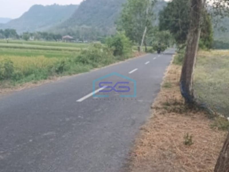 Dijual Tanah Luas 3 Ha di Taji, Klaten, Jawa Tengah