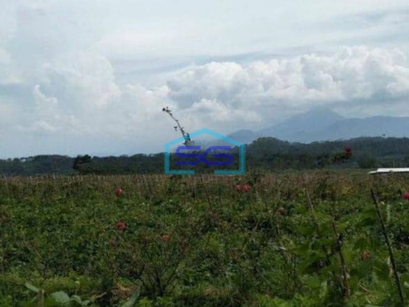 Dijual Tanah Murah di Daerah Bandungan Semarang LT 4000m2