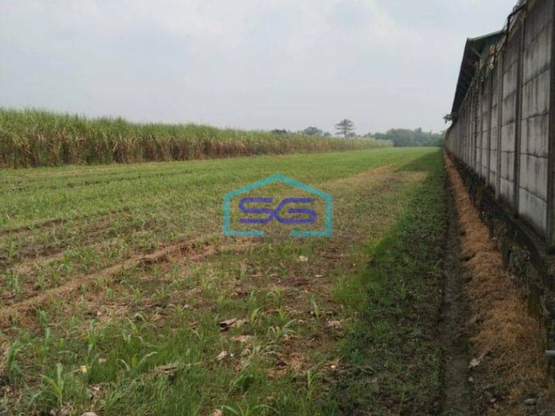 Dijual Tanah Area Komersial Gudang Industri Raya Pacing Mojokerto LT 50000m2