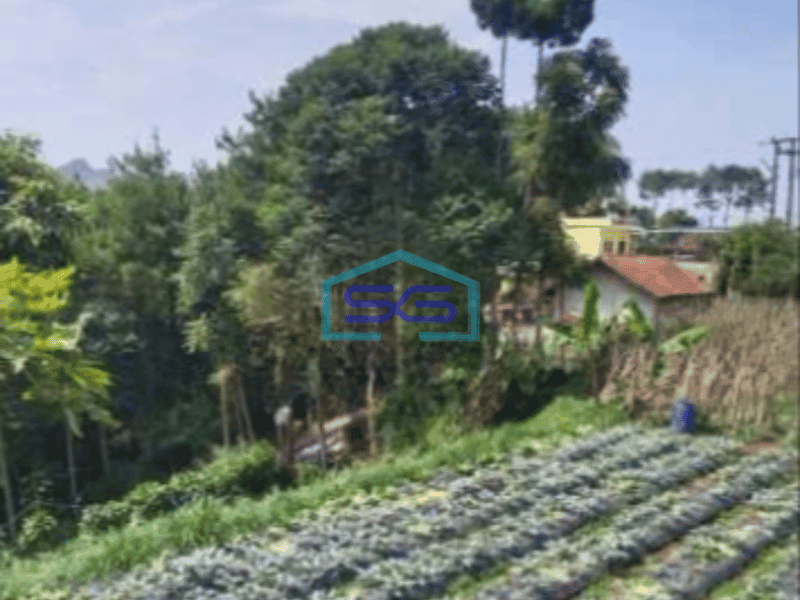 Dijual Tanah di Lembang Bandung Luas 6500m²