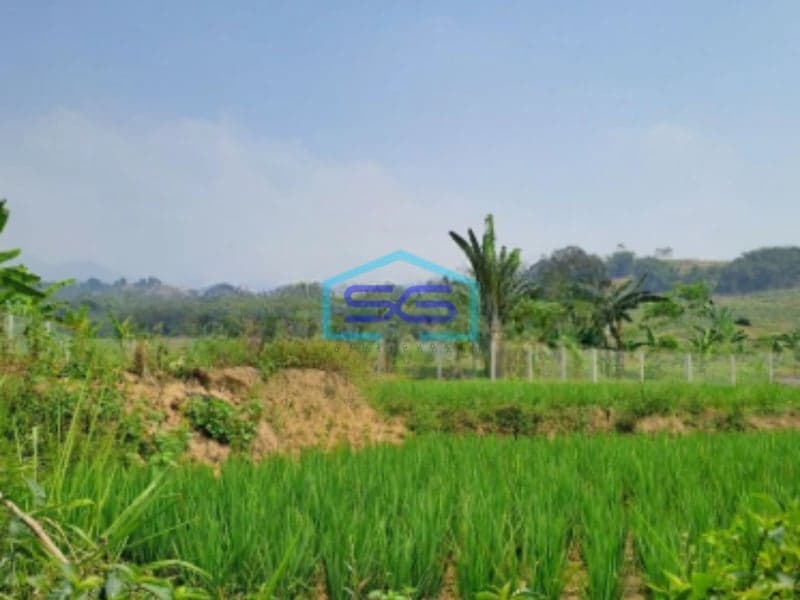 Dijual Tanah Darat Lokasi di Cigombong Bogor Luas Tanah 4 Hektar