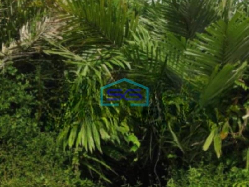 Dijual Tanah Lokasi Strategis di Pringsurat Temanggung Luas 4035 m²