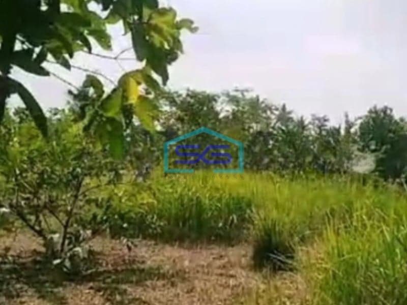 Dijual Tanah Kavling di Daerah Ciseeng Bogor Luas Tanah 2460m2