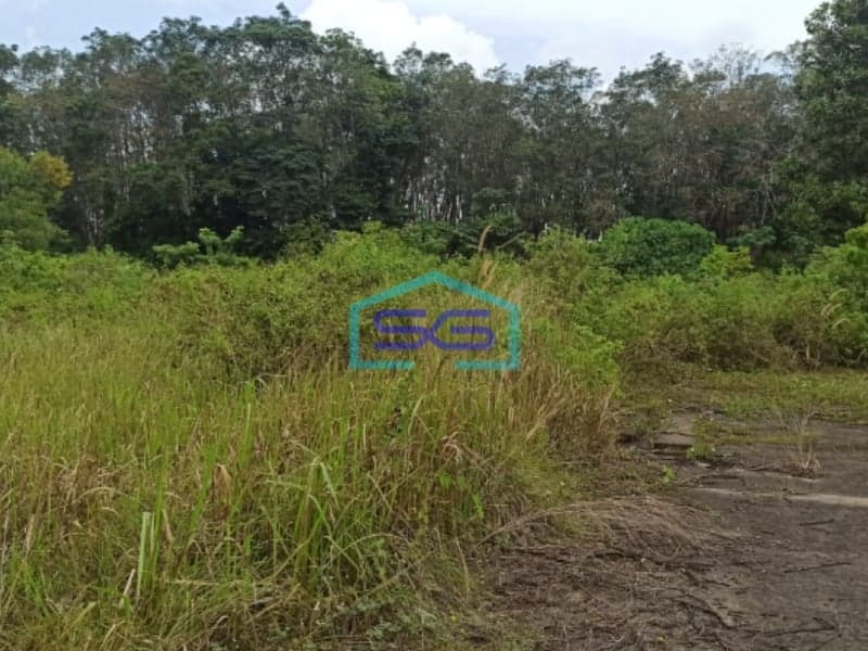 Dijual Tanah Keras di Jalan Lebung Permai Talang Kelapa Palembang