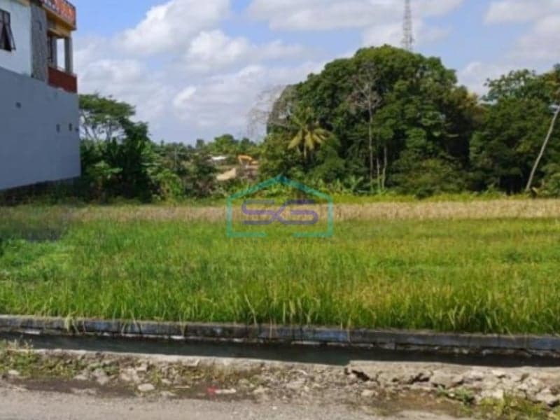 Disewakan Tanah di Area Canggu Badung Bali Luas Tanah 5000m2