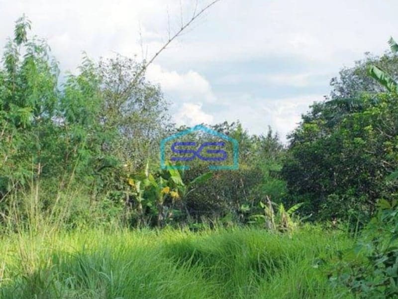 Dijual Tanah di Desa Curug Bogor SHM Luas 7090m² Cocok Untuk Gudang atau Pabrik