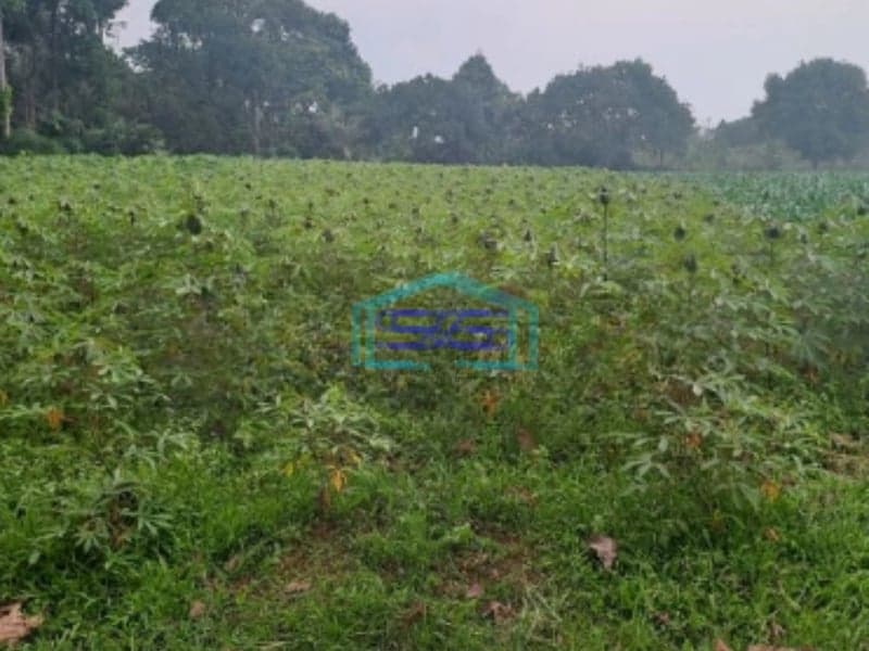 Dijual Tanah Di Kemang Bogor Luas Tanah 12000m2