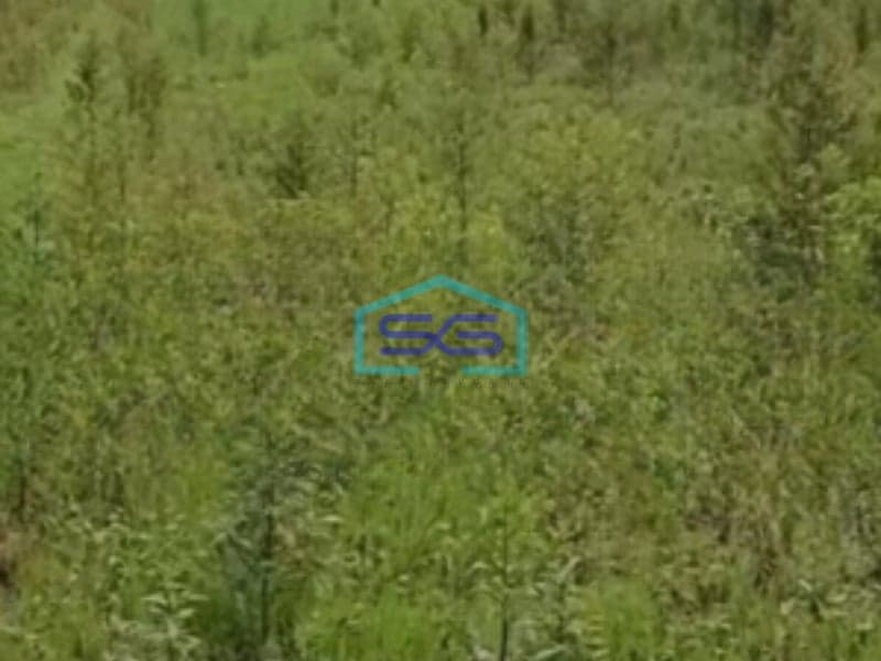 Dijual Tanah Luas 3090 m² Lokasi Strategis di Padangan Bojonegoro