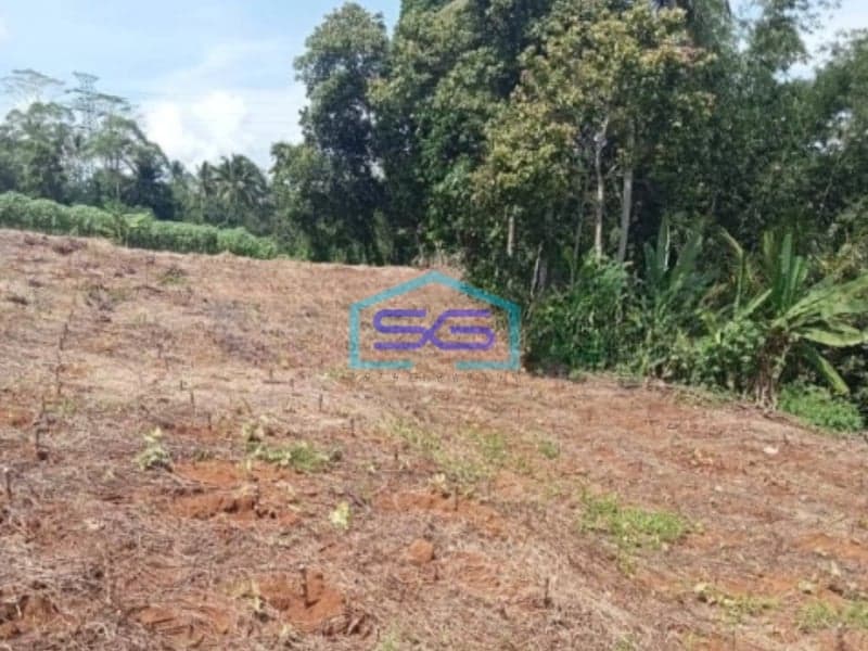 Dijual Tanah Bagus Datar Cikembar Sukabumi Luas Tanah 24000m2