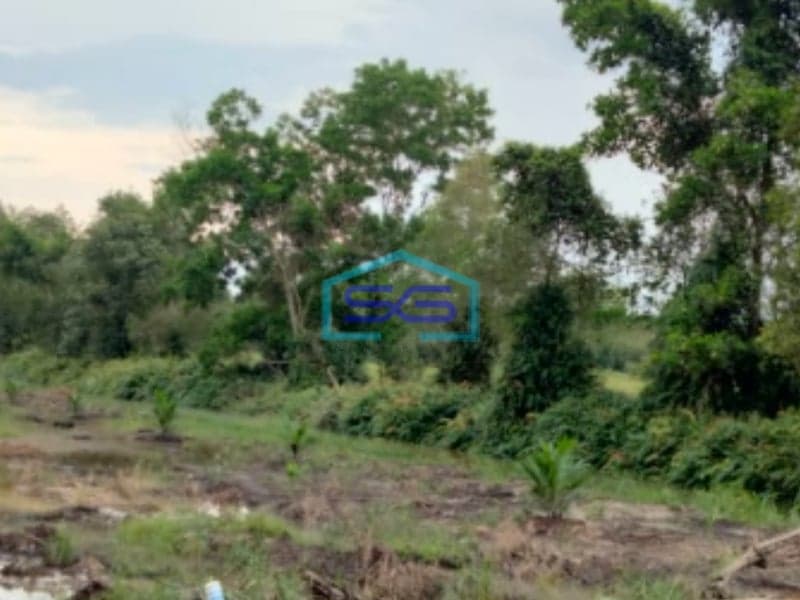 Dijual Tanah Jl Sukamakmur Air Batu kawasan Agrobisnis Peternakan Banyuasin Palembang LT 11 Hektar