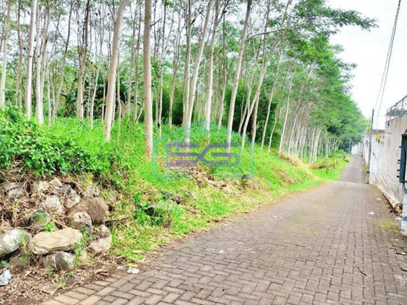 Dijual Jual Tanah Komersil 13000m Jalan Raya Strategis di Malang untuk dibangun Tempat Wisata,Pabrik,Gudang,Industri