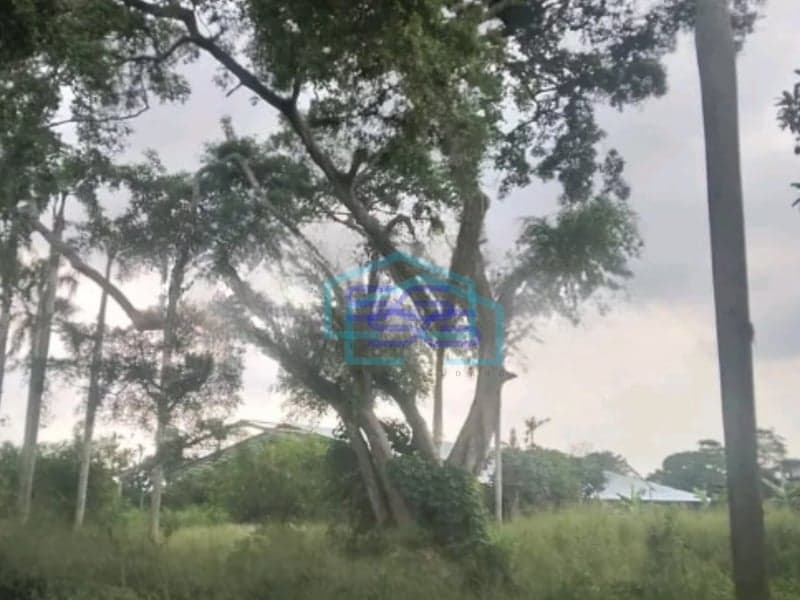 Dijual Tanah Luas 17000 m²  Lokasi Strategis di Pamulang Tangerang Selatan