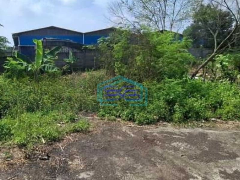 Dijual Tanah Luas 10000 m² Lokasi Tangerang