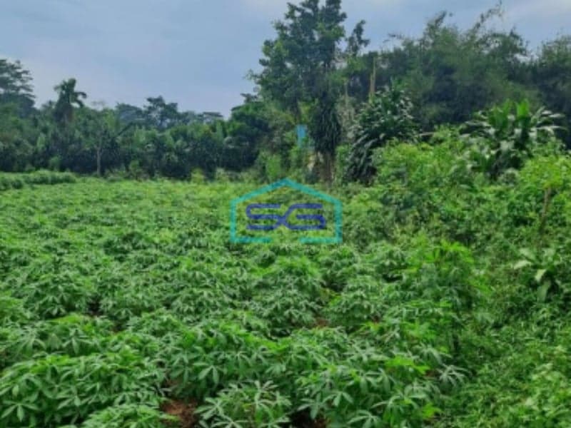 Dijual Tanah di Area Mekarsari Rumpin Bogor Luas 1000m2 SHM