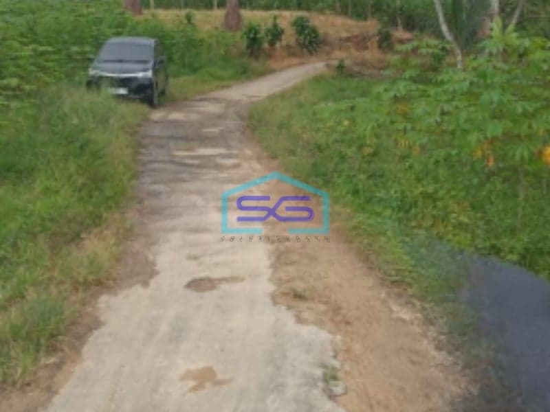 Dijual Tanah Lokasi di Cikembar Sukabumi Lahan Bagus LT 50000m2