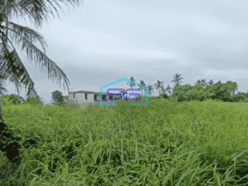 Dijual Tanah Luas 3500 m² di Ubud Gianyar Bali