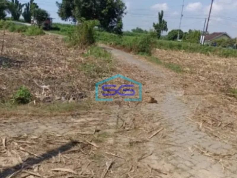 Dijual Tanah LT 270000m2 SHM Krembung Ngoro Mojokerto