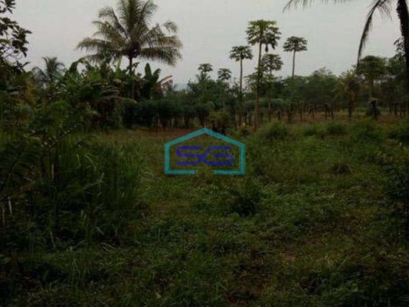 Dijual Tanah Murah Di Sawangan Depok