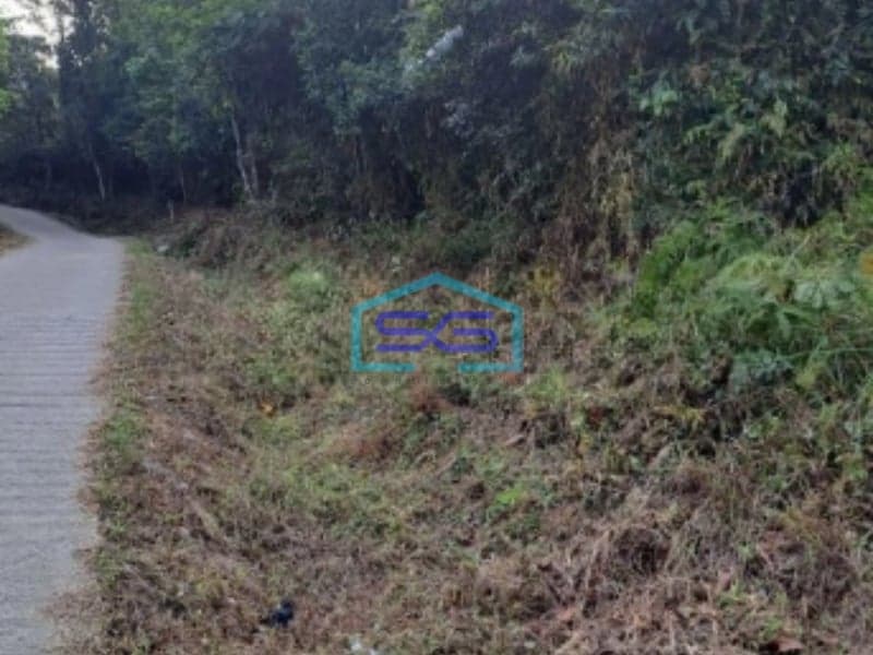 Dijual Tanah Suka Yaya Jonggol Bogor Luas Tanah 170000m2