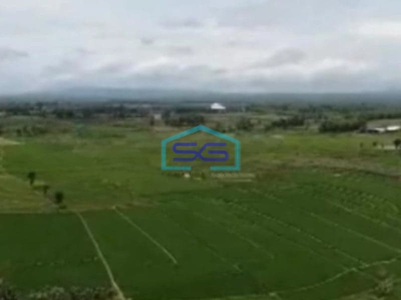 Dijual Tanah Zona Industri Lokasi Grobogan Jawa Tengah Luas 200 Hektar