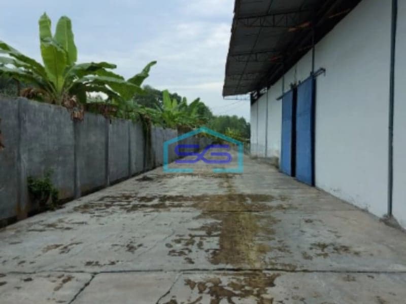 Dijual Tanah + Gudang di Klambir 5 Hamparan Perak Deli Serdang Sumatera Utara LT 3217m2