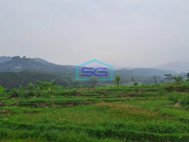 Dijual Tanah Jaya Sukamakmur Jonggol Bogor Luas Tanah 50 Hektar