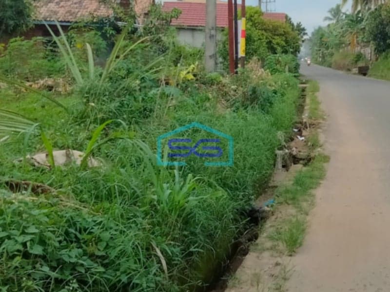 Dijual Tanah siap Bangun di Jalan Kantor Lurah Sukomoro Talang Kelapa Banyuasin Sumatera Selatan LT 2000m2