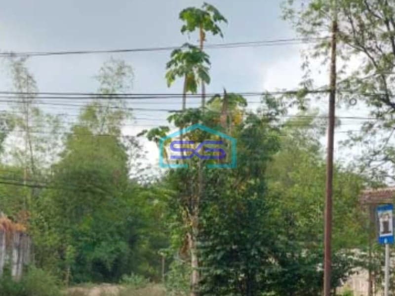 Dijual Tanah Luas 30000 m² Lokasi Pasuruan Jawa Timur