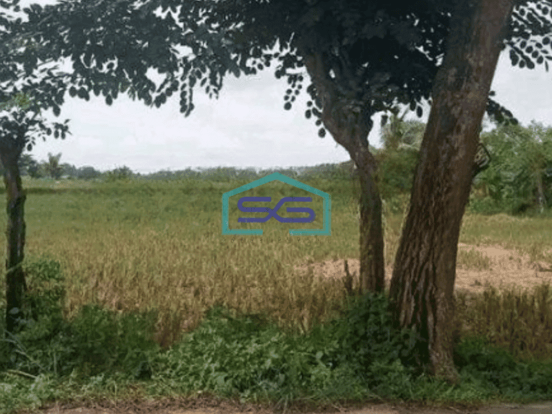 Dijual Tanah Luas 2850 m² Lokasi Pinggir Jalan Pasar Kemis Tangerang