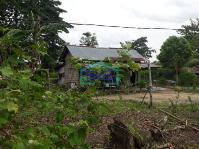 Dijual Murah Tanah Luas Indralaya Utara Desa Parit Jaya Indralaya Sumatera Selatan LT 2 Ha