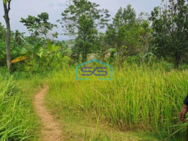 Dijual Tanah Datar Sangat Bagus di Desa Karya Mekar Cariu Bogor LT 18000m2