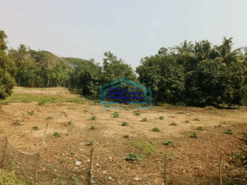 Dijual Tanah di Jalan Pakisjaya Karawang 4.950 M2