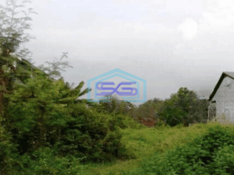 Dijual murah tanah di Montong Raya Weleri Kendal Jawa Tengah