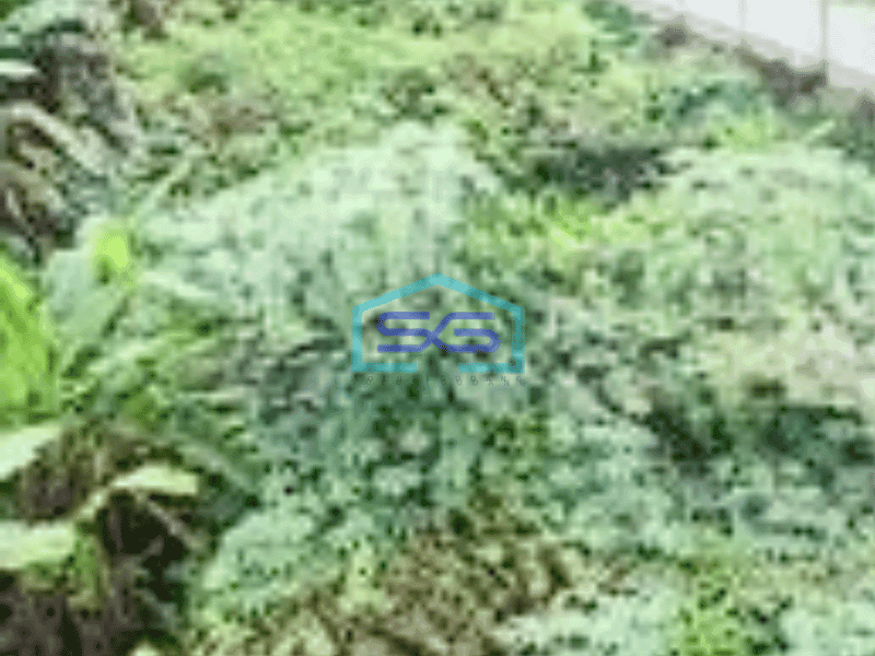 Disewakan Tanah Cocok Buat Parkir Alat, Gudang di Cisauk Dekat BSD Tangerang