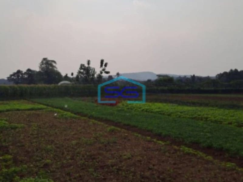 Dijual Tanah di Kemang Bojongkopasus Bogor Luas Tanah 50000m2