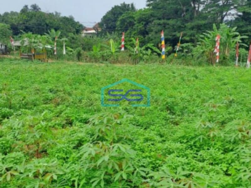 Dijual Tanah Di Kemang Bogor Luas Tanah 2000m2