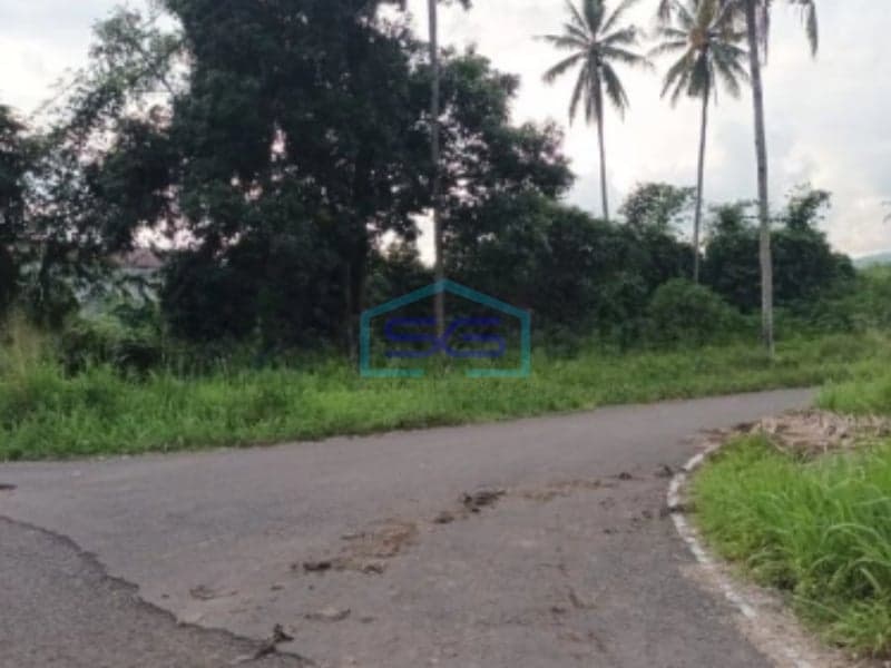 Dijual Tanah 2,5 H Dekat PLN Tanjung Merah Bitung Cocok Buat Gudang Matuari, Bitung Luas Tanah (PxL)  25000 m²