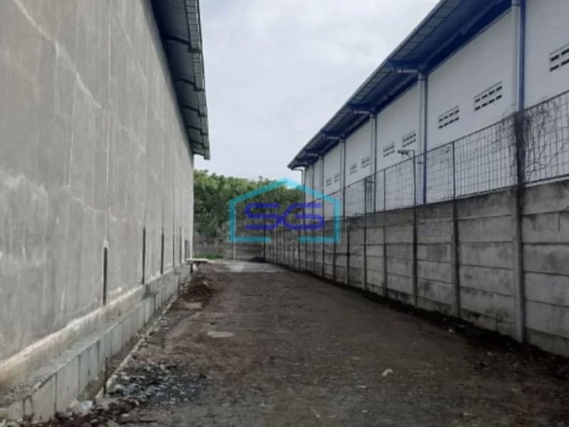 Disewakan Gudang Baru di Bayur Tangerang Luas Bangunan 1104m2
